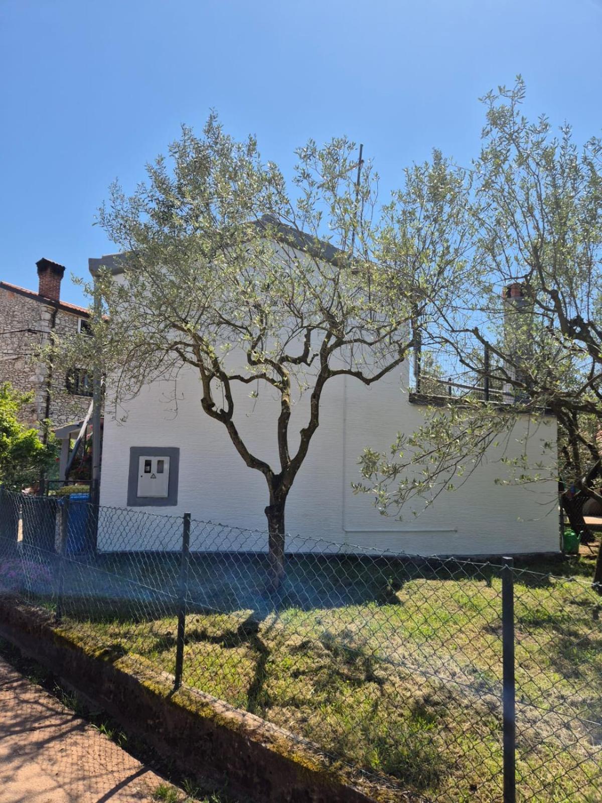 Kuca Za Odmor Petra Apartment Cepljani Exterior foto